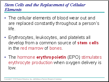 Stem Cells and the Replacement of Cellular Elements