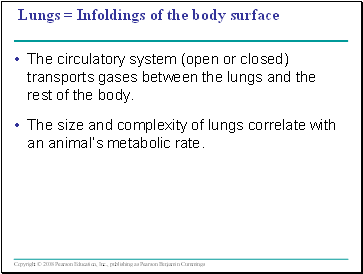 Lungs = Infoldings of the body surface