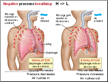 Negative pressure breathing: H --> L