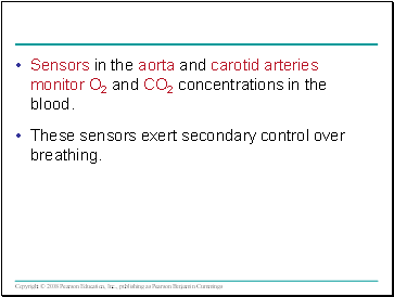 Sensors in the aorta and carotid arteries monitor O2 and CO2 concentrations in the blood.