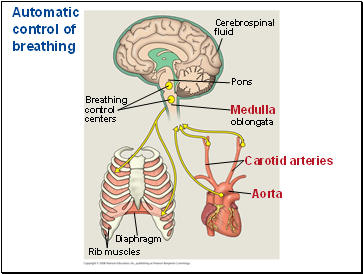 Automatic control of breathing