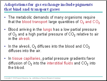 Adaptations for gas exchange include pigments that bind and transport gases