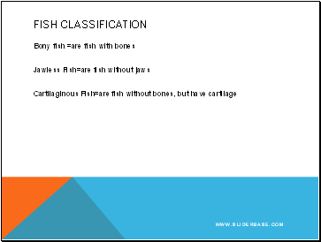 Fish Classification