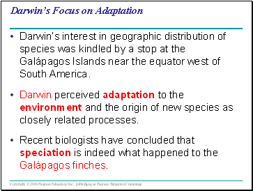 Darwins Focus on Adaptation