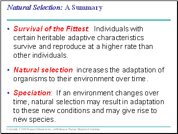 Natural Selection: A Summary