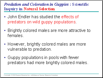 Predation and Coloration in Guppies : Scientific Inquiry in Natural Selection