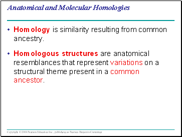 Anatomical and Molecular Homologies