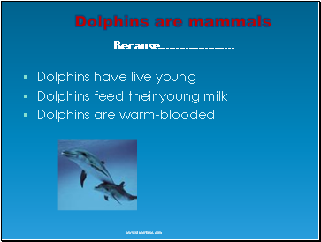Dolphins are mammals