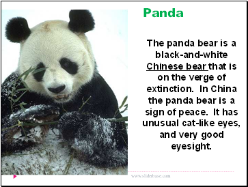 Panda