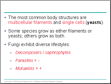 The most common body structures are multicellular filaments and single cells (yeasts).