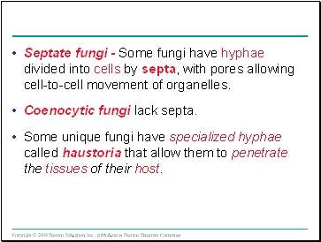 Septate fungi - Some fungi have hyphae divided into cells by septa, with pores allowing cell-to-cell movement of organelles.