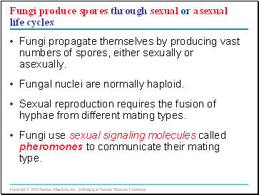 Fungi produce spores through sexual or asexual life cycles