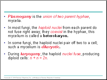 Plasmogamy is the union of two parent hyphae, mycelia.