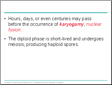 Hours, days, or even centuries may pass before the occurrence of karyogamy, nuclear fusion.