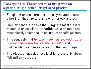 Concept 31.3: The ancestor of fungi was an aquatic, single-celled, flagellated protist