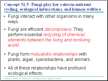 Concept 31.5: Fungi play key roles in nutrient cycling, ecological interactions, and human welfare