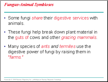 Fungus-Animal Symbioses