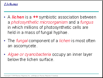 Lichens