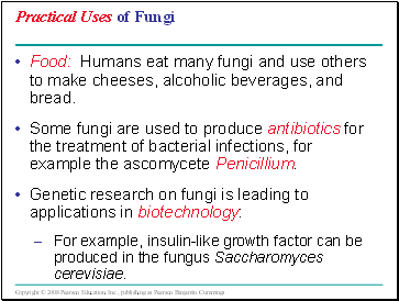 Practical Uses of Fungi