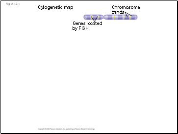 Fig. 21-2-1