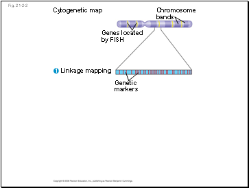 Fig. 21-2-2