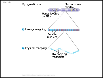 Fig. 21-2-3