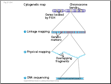 Fig. 21-2-4