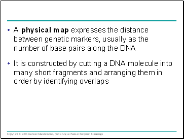 A physical map expresses the distance between genetic markers, usually as the number of base pairs along the DNA