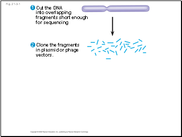 Fig. 21-3-1