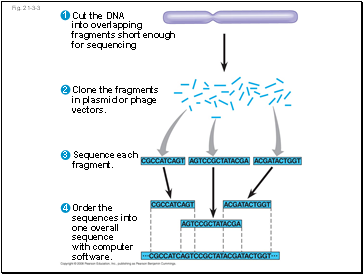 Fig. 21-3-3