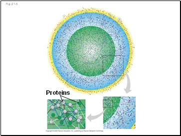 Fig. 21-5