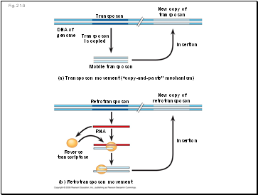 Fig. 21-9