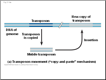 Fig. 21-9a