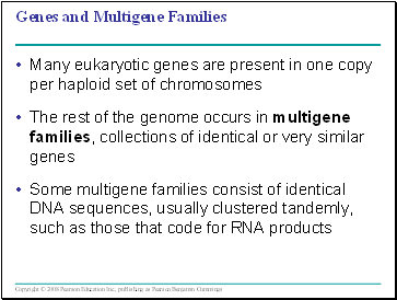 Genes and Multigene Families