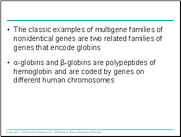 The classic examples of multigene families of nonidentical genes are two related families of genes that encode globins