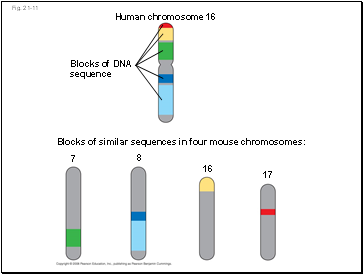 Fig. 21-11