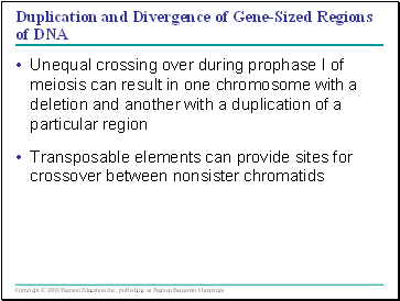 Duplication and Divergence of Gene-Sized Regions of DNA