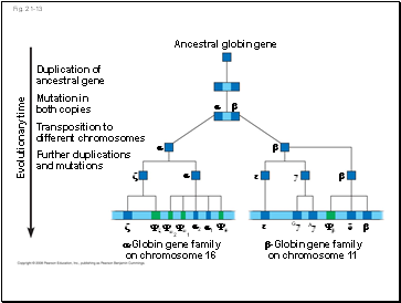 Fig. 21-13