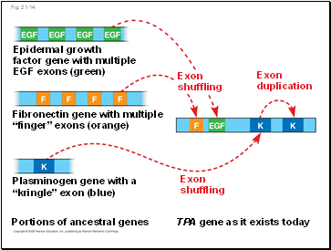 Fig. 21-14