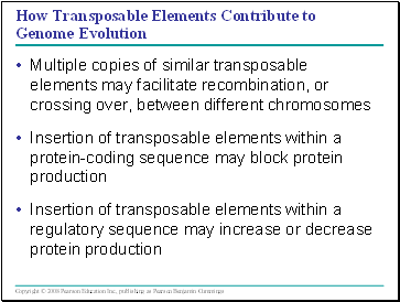 How Transposable Elements Contribute to Genome Evolution