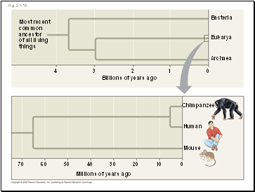 Fig. 21-15