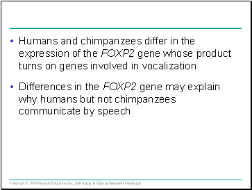 Humans and chimpanzees differ in the expression of the FOXP2 gene whose product turns on genes involved in vocalization