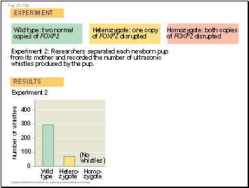 Fig. 21-16b