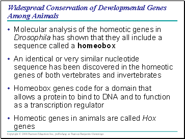 Widespread Conservation of Developmental Genes Among Animals