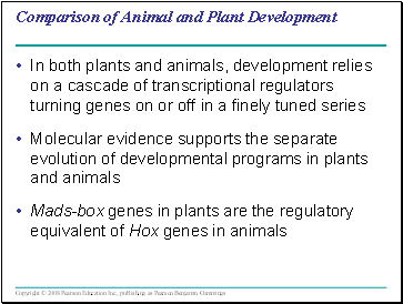 Comparison of Animal and Plant Development