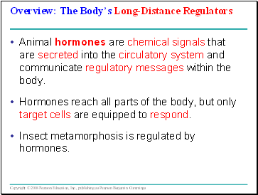 Hormones and the Endocrine System