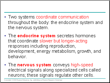 Two systems coordinate communication throughout the body: the endocrine system and the nervous system.