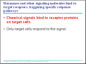 Hormones and other signaling molecules bind to target receptors, triggering specific response pathways