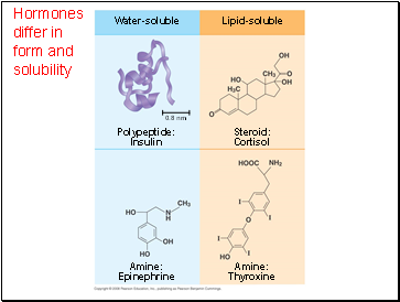 Hormones differ in form and solubility