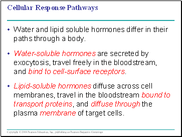 Cellular Response Pathways